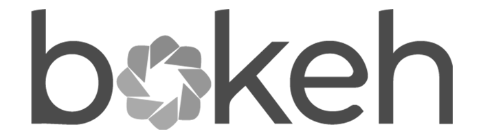 logo bokeh